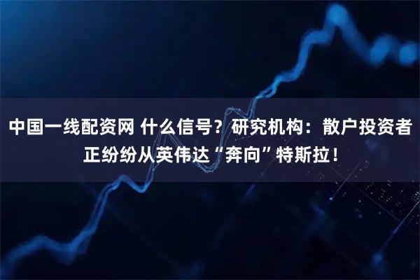 中国一线配资网 什么信号？研究机构：散户投资者正纷纷从英伟达“奔向”特斯拉！