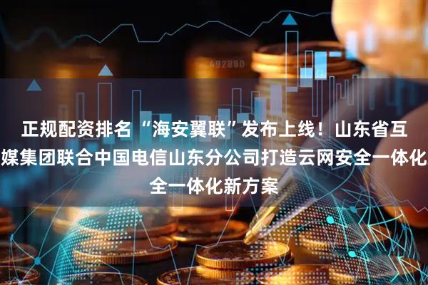 正规配资排名 “海安翼联”发布上线！山东省互联网传媒集团联合中国电信山东分公司打造云网安全一体化新方案
