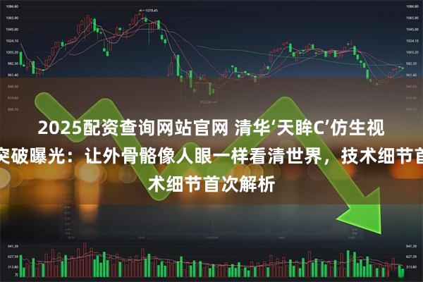 2025配资查询网站官网 清华‘天眸C’仿生视觉芯片突破曝光：让外骨骼像人眼一样看清世界，技术细节首次解析